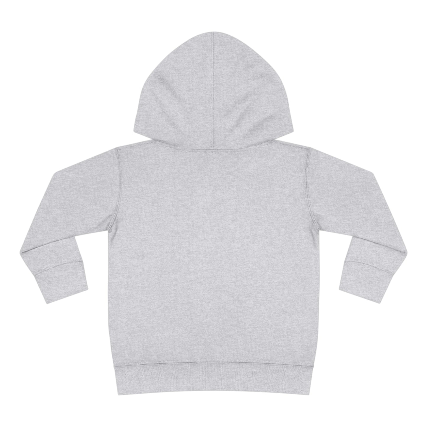 Toddler Soft Fleece Hoodie | "Music is What Feelings Sound Like"